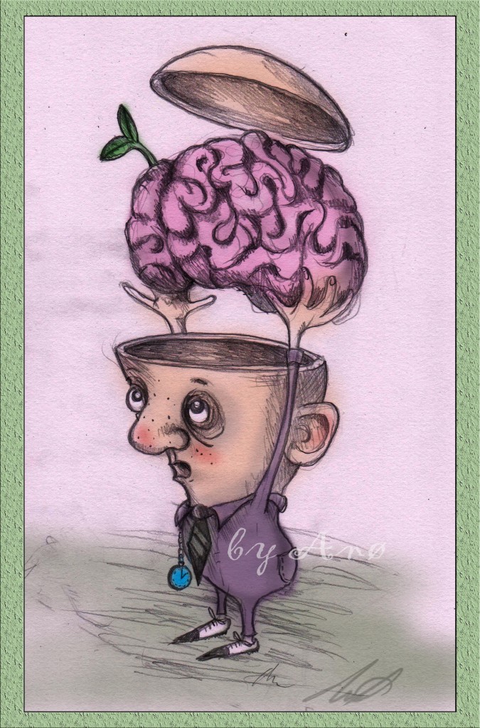 Den plastiske hjerne ane fur øhrberg ohrberg anø